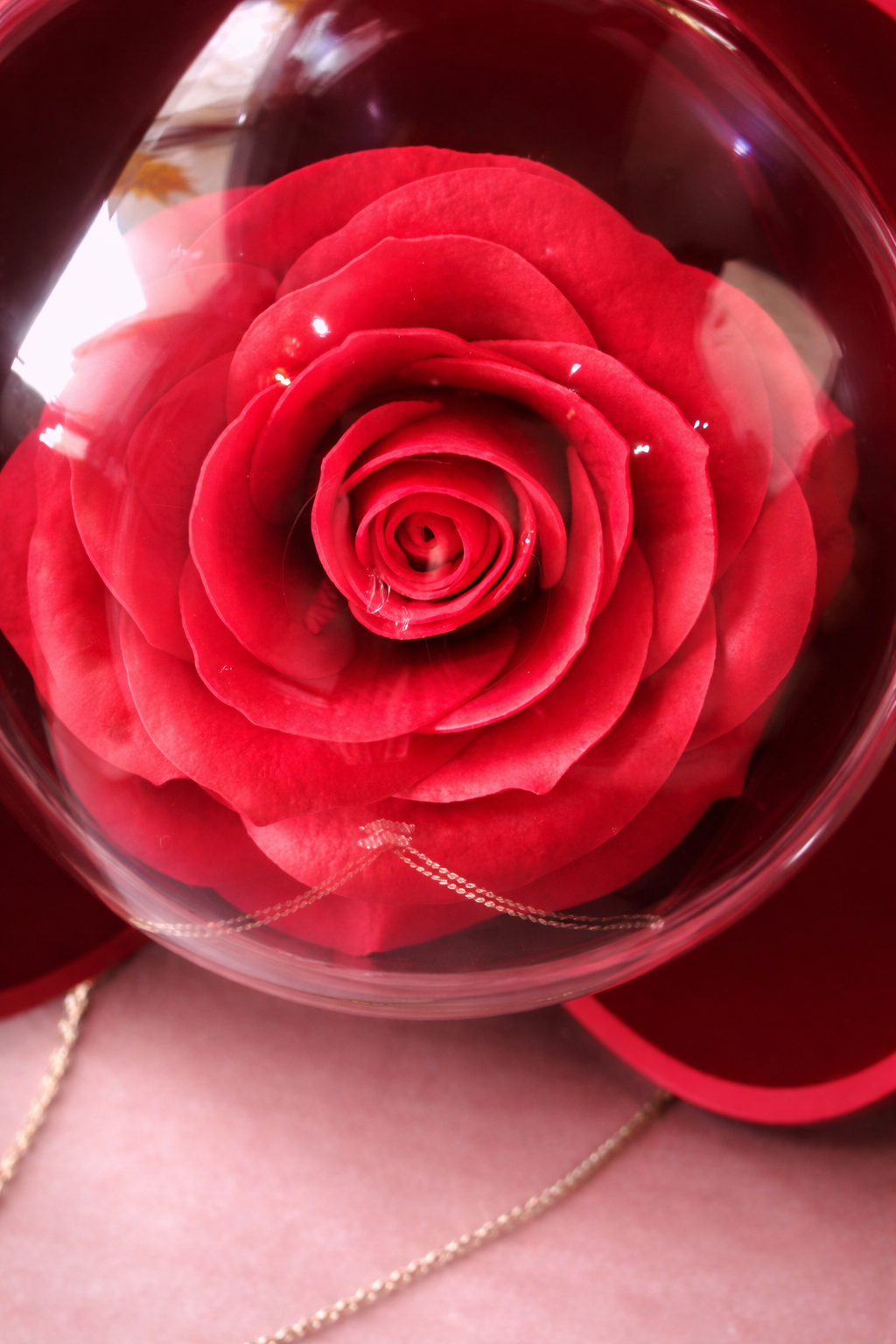 Romantic Gifts for Her Rose Jewelry Box